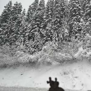 Meet your Posher, Gabriel